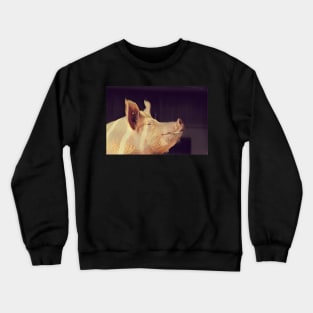 The Smiling Pig Crewneck Sweatshirt